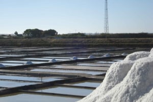 Aveiro: Rundgang, Bootsfahrt, Süßigkeiten und Eintritt in die Kirche