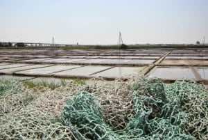 Aveiro: Rundgang, Bootsfahrt, Süßigkeiten und Eintritt in die Kirche