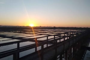 Aveiro: Rundgang, Bootsfahrt, Süßigkeiten und Eintritt in die Kirche