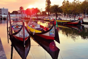 AVEIRO E COSTA NOVA: Private Ganztagestour mit Bootstour ab Porto