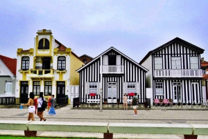 AVEIRO E COSTA NOVA: Private Ganztagestour mit Bootstour ab Porto