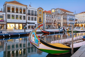 AVEIRO E COSTA NOVA: Private Ganztagestour mit Bootstour ab Porto