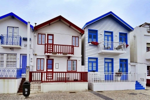 AVEIRO E COSTA NOVA: Private Ganztagestour mit Bootstour ab Porto