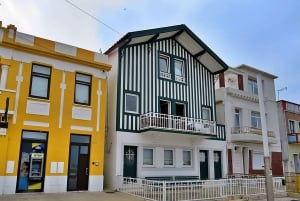 AVEIRO E COSTA NOVA: Private Ganztagestour mit Bootstour ab Porto