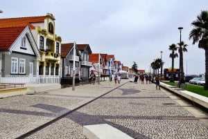 AVEIRO E COSTA NOVA: Private Ganztagestour mit Bootstour ab Porto