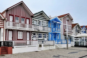 AVEIRO E COSTA NOVA: Private Ganztagestour mit Bootstour ab Porto