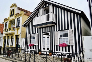 AVEIRO E COSTA NOVA: Private Ganztagestour mit Bootstour ab Porto