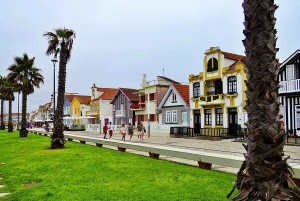 AVEIRO E COSTA NOVA: Private Ganztagestour mit Bootstour ab Porto