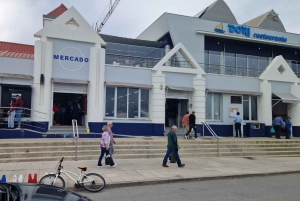 AVEIRO E COSTA NOVA: Private Ganztagestour mit Bootstour ab Porto