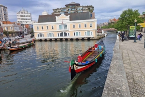 AVEIRO E COSTA NOVA: Private Ganztagestour mit Bootstour ab Porto