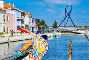 AVEIRO E COSTA NOVA: Private Ganztagestour mit Bootstour ab Porto