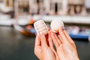 AVEIRO E COSTA NOVA: Private Ganztagestour mit Bootstour ab Porto