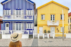 AVEIRO E COSTA NOVA: Private Ganztagestour mit Bootstour ab Porto