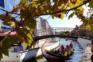 AVEIRO E COSTA NOVA: Private Ganztagestour mit Bootstour ab Porto