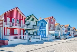 Aveiro: Half-Day Tour from Porto with Cruise