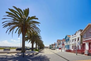 Aveiro: Half-Day Tour from Porto with Cruise