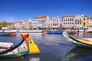 Aveiro: Half-Day Tour from Porto with Cruise