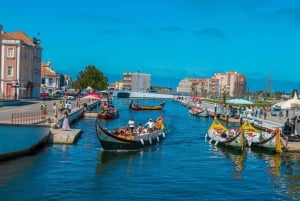 Aveiro: Half-Day Tour from Porto with Cruise