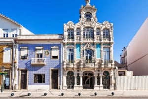 Aveiro: Half-Day Tour from Porto with Cruise