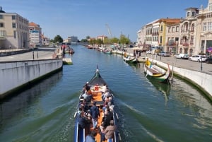 Aveiro: tour guidato a piedi di storie, canali e azulejos