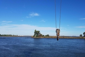 Aveiro: tour guidato a piedi di storie, canali e azulejos