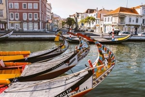 Aveiro: Traditional Moliceiro Boat Tour