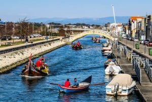 Aveiro: Traditional Moliceiro Boat Tour