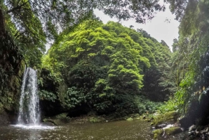 Azorerna: Ribeira da Salga Canyoning Äventyr