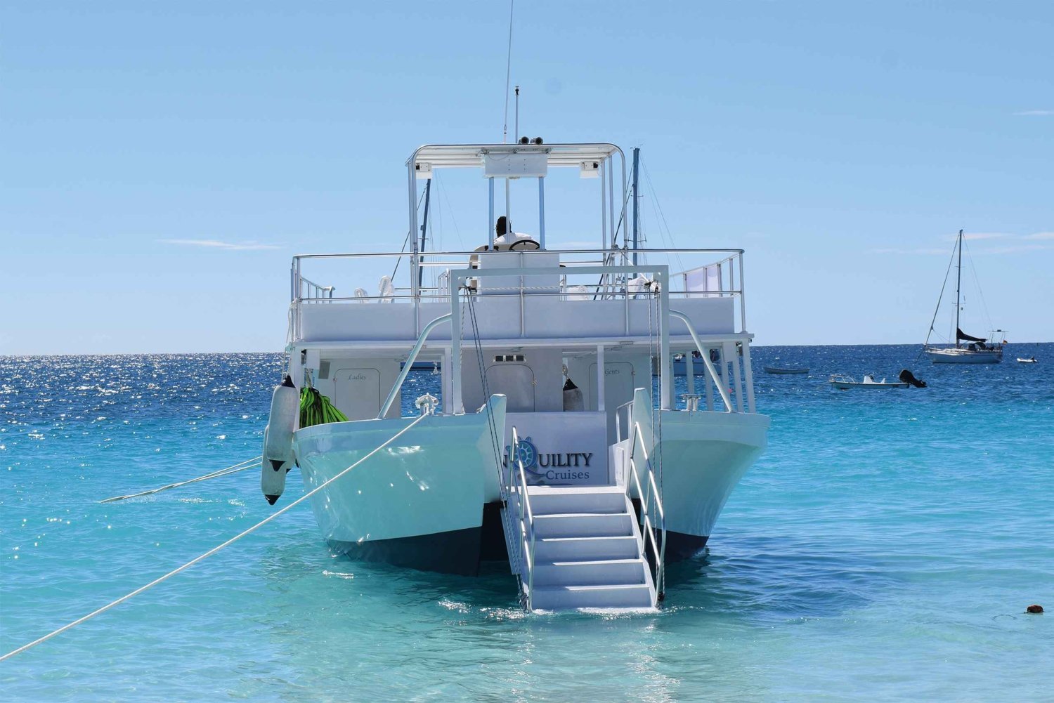 Barbados: Carlisle Bay Beach Day og Turtle Swim Experience