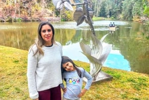 Лучший исторический тур по Сан-Паулу. 5-часовой частный опыт.