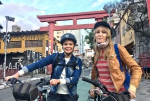 Lo mejor de São Paulo: Cultura, historia y vitalidad en bicicleta