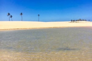 ボートに乗る：ブラジル最大のサン・フランシスコ川