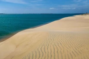 ボートに乗る：ブラジル最大のサン・フランシスコ川