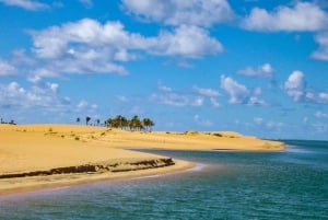 ボートに乗る：ブラジル最大のサン・フランシスコ川