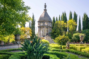 Braga: Flexible Walking Tour in Historic Center