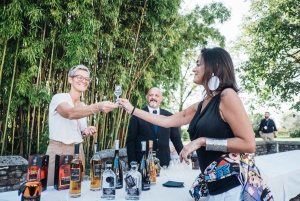 Brazil: exclusive Brazilian drinks tasting kit delivery