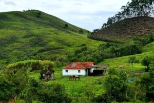 Trekking in the Atlantic Forest, Waterfalls, Stories. GOLD TRAIL.