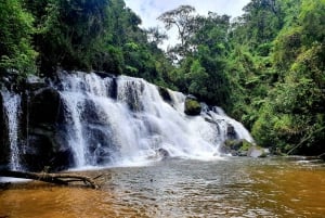 Trekking in the Atlantic Forest, Waterfalls, Stories. GOLD TRAIL.