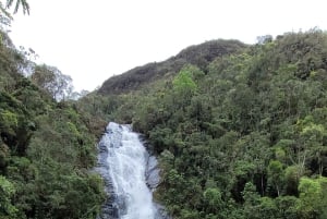 Trekking in the Atlantic Forest, Waterfalls, Stories. GOLD TRAIL.