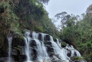 Trekking in the Atlantic Forest, Waterfalls, Stories. GOLD TRAIL.