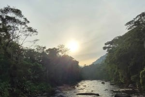 Trekking in the Atlantic Forest, Waterfalls, Stories. GOLD TRAIL.