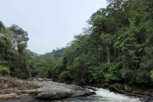 Trekking in the Atlantic Forest, Waterfalls, Stories. GOLD TRAIL.