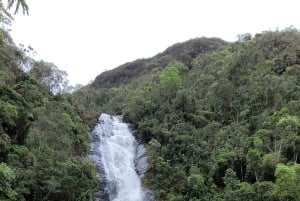 Trekking in the Atlantic Forest, Waterfalls, Stories. GOLD TRAIL.