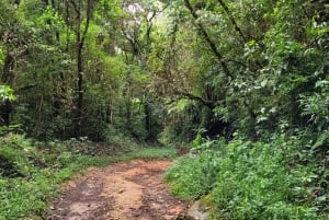 Trekking in the Atlantic Forest, Waterfalls, Stories. GOLD TRAIL.