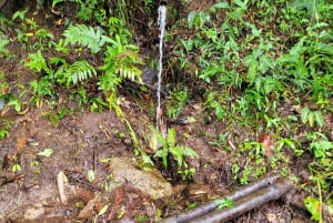 Trekking in the Atlantic Forest, Waterfalls, Stories. GOLD TRAIL.