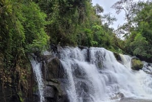 Trekking in the Atlantic Forest, Waterfalls, Stories. GOLD TRAIL.