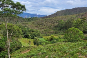 Trekking in the Atlantic Forest, Waterfalls, Stories. GOLD TRAIL.