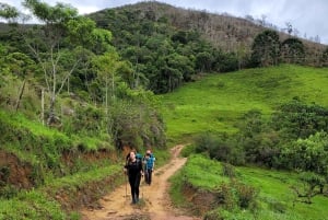 Trekking in the Atlantic Forest, Waterfalls, Stories. GOLD TRAIL.