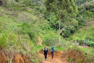 Trekking in the Atlantic Forest, Waterfalls, Stories. GOLD TRAIL.