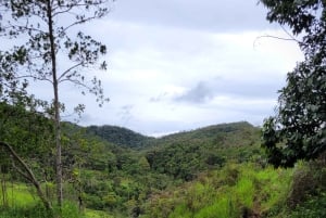 Trekking in the Atlantic Forest, Waterfalls, Stories. GOLD TRAIL.